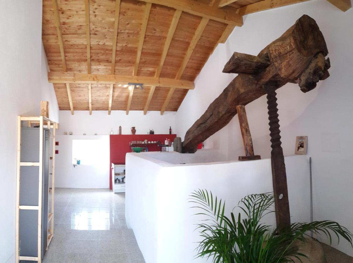 Bed and Breakfast Quinta Quatro Ventos Sertã Exteriér fotografie
