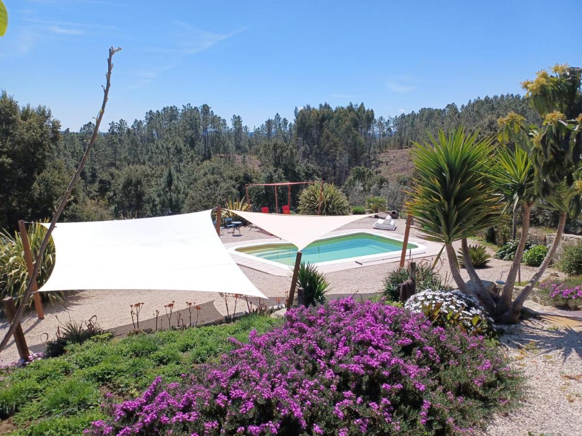 Bed and Breakfast Quinta Quatro Ventos Sertã Exteriér fotografie